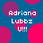 Pixelated blue background with pink and purple circles, white text reading 'Adriana Lubbz U!!!' in four positions.