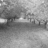 Green background with grayscale tree-lined path image and blue pixelated text reading 'Stop Global Warming By hugging A tree!'