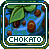 Pixelated 49x49 static icon featuring a green leafy plant with brown seed pods over blue water, framed by layered borders and labeled "CHOKATO" at the bottom.