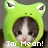 A green frog-hat-wearing cat with brown and white fur appears in four with changing text overlays
