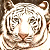 A pixelated tiger head icon with green text reading "Original Icons .com" on a dark background, displayed as part of an animated contact sheet.