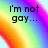 A pixelated rainbow gradient background with black text reading "I'm not gay..." on the left and "I just really like rainbows!" on the right.