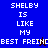 Blue and brown pixelated text displays 'SHELBY IS LIKE MY BEST FRIEND' with a small animated character icon in the center.