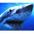 Pixelated shark head with open mouth against blue water background, green text 'Original Icons .com' on dark green