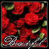 Red roses fill the frame with green leaves, and the word 'Beautiful' appears in stylized script at the bottom.