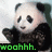 A pixelated panda with black and white fur, green text below it reading "woahhh. contain. yourself." in a