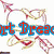 Animated icon with heart-shaped hands, ice cream cones, and text overlays on white and pink backgrounds.