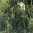Pixelated jungle background with stacked text blocks reading WELCOME 2 THE JUNGLE CHA-CHA and a small pixelated figure below.