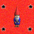 Red background with black stars and a garden gnome in blue clothing, white beard, red hat; text fragments 'FR', 'FRE', 'FREE', 'FREEDOM' appear above the gnome.