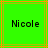 Green background with orange and brown lines, two identical pixelated 'Nicole' text instances centered horizontally