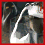 Four distinct pixelated character images arranged in a with red borders, each showing unique poses and expressions