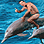 Pixelated image of a person riding a dolphin in blue water, with the figure's arm raised and body angled forward.