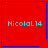 Red square with blue border containing cyan text "NicolaL14" and small blue symbols in corners.