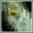 Aim Buddy Icons, AOL, ICQ and MSN Away messages, Smiles, Expressions and Aim programs