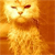 Animals icons for AIM, MSN, MySpace and Yahoo