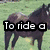 A four- shows horses with text overlays; the top-right changes from a grassy field to an indoor setting while other remain static