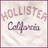 Pixelated static image with 'Hollister California' text in brown tones on a light background, bordered by a thin purple frame.