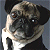 Pixelated static image of a pug dog wearing a black top hat and white shirt, with one paw raised to its face in a thoughtful pose against a gray background.
