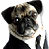 Pixelated close-up of a dog's face with dark ears, light brown and black fur, and a white muzzle, wearing a dark collar against a white background.