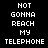 Pixelated text displays 'NOT GONNA REACH MY TELEPHONE' in white on black and gray backgrounds.
