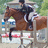 A pixelated image of a rider on a horse mid-jump over an obstacle, with text elements arranged around the scene.