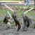 Animated image of two squirrels in a grassy field with text overlays reading "JEDI SQUIRRELS" and "Now we're really in trouble".