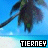 Pixelated beach scene with palm tree and blue sky, featuring text "TIERNEY" in black-and-white on left frame and cyan-on-black on right frame.