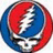 Circular icon with red and blue segments containing a white skull with closed eyes, black pupils, and a lightning bolt across the forehead.