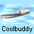 A 4x4 contact sheet of animated frames showing a gray and white airplane flying left to right against a light blue sky background with the text "Coolbuddy" repeated below each frame.