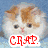 A four- of pixelated icons featuring a cat, text, an elephant, and a cartoon character with red mouth