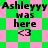 Green and pink checkered background with black text reading 'Ashleyy was here <3' in two , displayed twice side-by-side