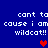Blue background with white pixelated text reading 'cant ta cause i am wildcat!!' repeated twice, each followed by a red heart symbol.