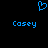 Blue pixelated heart symbol above two instances of the name Casey in blue text on a black background.