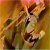 Pixelated image of two figures in dynamic poses against a warm-toned gradient background with visible pixelation and color blending.