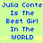 Pixelated text on a light green background with yellow hearts, repeating 'Julia Conte Is The Best Girl In The WORLD' in blue letters across two identical vertical sections.