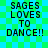 Green and blue checkered background with black pixelated text reading "SAGES LOVES TO DANCE!!" in four identical quadrants.