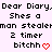 Pixelated text repeats 'Dear Diary, Shes a man stealeman 2 timer bitchh' with red heart and arrow symbols on light purple background.