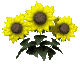 Six identical pixelated sunflower clusters arranged in two of three on a gray background, each cluster containing four yellow flowers with brown centers and dark green leaves