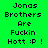 Green background with black pixelated text reading "Jonas Brothers Are Fuckin Hott :P !" arranged in a , with one highlighted in pink