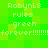 Pixelated green background with repeated white text reading 'RobynLs rules green forever!!!!!!!!' in two identical horizontal sections.