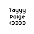 Pixelated text 'Tayyy Paige (3333)' appears in six positions with purple background shifts across frames