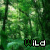 Pixelated forest background with repeated 'WILD' text in gray and green lettering across six positions