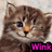 A pixelated cat face with brown and gray fur, blue eyes, and an orange nose appears in two side-by-side frames showing a wink animation.