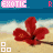 iconhell_babierykiel_Exotic