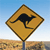 Animals icons for AIM, MSN, MySpace and Yahoo