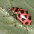 A pink ladybug with black spots rests on a textured green surface, while the right side displays 'OriginalIcons.com' in bright green pixelated text.