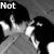 Black-and-white animated sequence showing a person with dark hair in various poses, accompanied by text overlays including "Not," "another," and "teenage." A red pixelated block obscures part of the image.