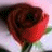 identical red roses with green leaves on a light pink background, each overlaid with text reading 'THERE'S NO PAIN ON ROSES' in black and red pixelated font