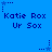 Blue background with repeated text "Katie Rox Ur Sox" and star icons in pixelated style.