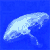 A pixelated jellyfish icon with translucent white body and trailing tentacles against a solid blue background, shown in six of animation